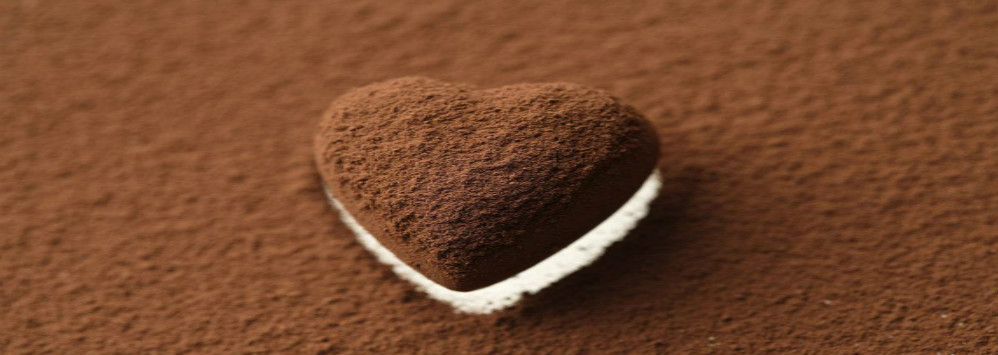 qualità Cacao in polvere alcalinizzato Servizio