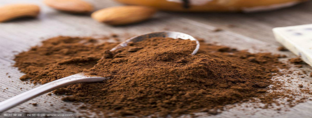 qualità Cacao in polvere alcalinizzato Servizio