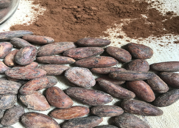Burro di cacao unico del commestibile del grasso, burro di cacao organico puro per cucinare